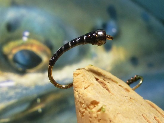 ... the Zebra chironomid fly pattern!