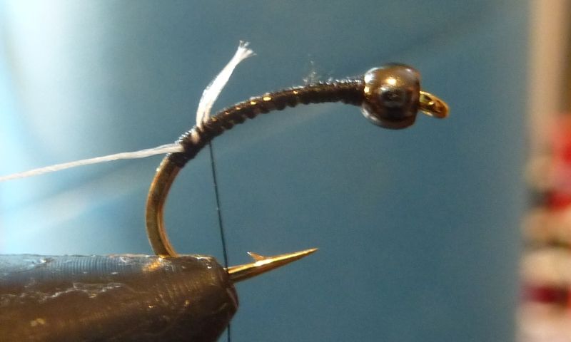  Region Fishing Tungsten Bead Head Black Zebra Midge