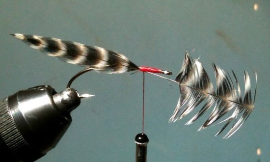 Quick Fish Fry Fly | BC Salmon Fry Fishing Pattern ... Fish Fry smolt Streamer fly