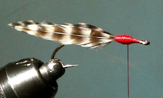 Quick Fish Fry Fly | BC Salmon Fry Fishing Pattern ... Fish Fry Streamer step 3