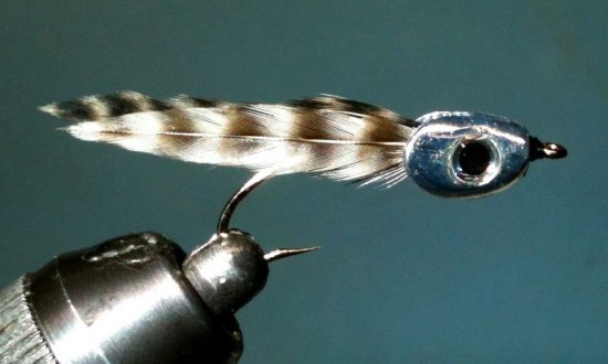 Quick Fish Fry Fly | BC Salmon Fry Fishing Pattern ... baby skull fish fry fly
