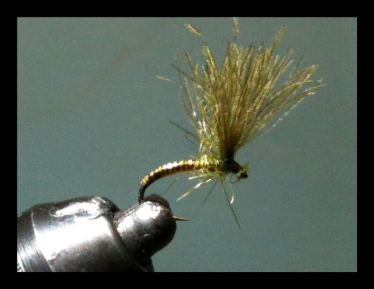 Olive Shuttlecock Emerger Fly | Mayfly Chironomid Caddis