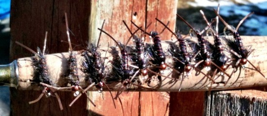 ... Rock Bottom Stonefly Nymph fly pattern!