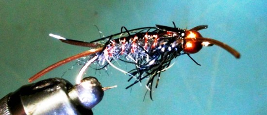 ... Rock Bottom Stonefly Nymph fly pattern