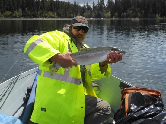 Gord Rainbow Trout