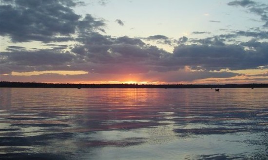 Sheridan Deep Water Chironomids - Sheridan Sunrise