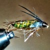 ... caddis sedge pupa fly | flyguys.net