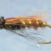 ... caddis sedge pupa fly | flyguys.net