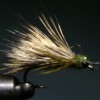 ... caddis sedge fly | flyguys.net