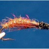 ... caddis sedge pupa fly | flyguys.net