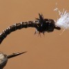 ... chironomid pupa fly | flyguys.net