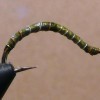 ... chironomid larva bloodworm | flyguys.net