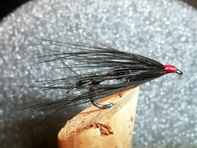 BC Bull Trout Fly: The 'Mister March' - Favourite Fly for Bull Trout Fishing  