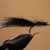 ... leech fly | flyguys.net