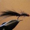 ... leech fly | flyguys.net