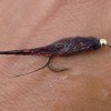 ... leech fly | flyguys.net