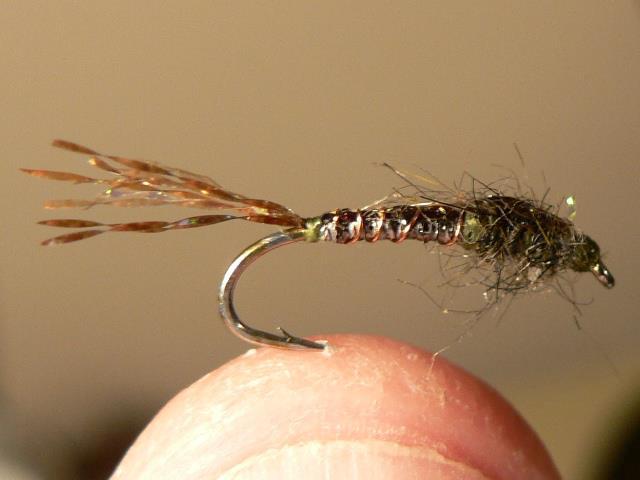 Fly Fishing Mayfly Nymphs Adults Dun Spinner Techniques & Entomology