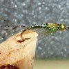 ... mayfly nymph fly | flyguys.net