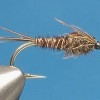 ... mayfly nymph fly | flyguys.net