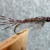 ... mayfly nymph fly | flyguys.net