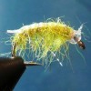 ... shrimp scud fly | flyguys.net