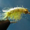 ... shrimp scud fly | flyguys.net