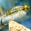 ... shrimp scud fly | flyguys.net