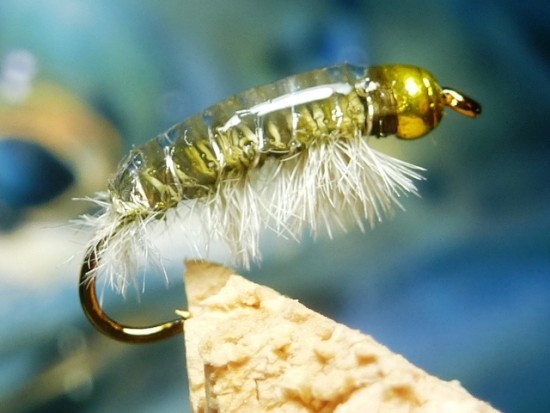 ... shrimp scud fly | flyguys.net | fall fly patterns