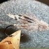 ... streamer fly | flyguys.net