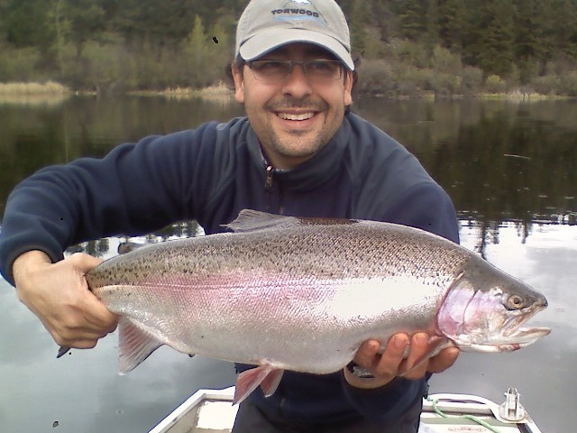 Winter Kill & Trophy Trout Roche Lake BC Fly Fishing Strategies