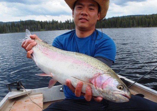 Roche Lake Winter Kill & Trophy Trout ... another Roche area winter kill trophy trout!