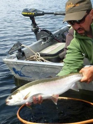 Roche Lake Winter Kill & Trophy Trout ... & trophy rainbow trout!