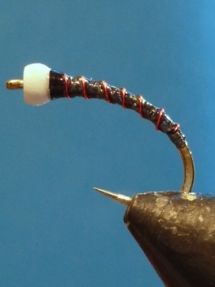 ... Zucchini Chironomid Fly Tying