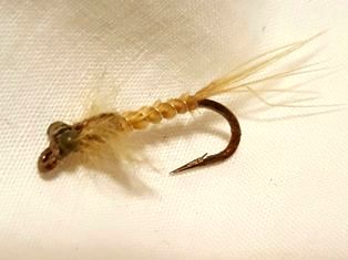 chironomid larva bloodworm fly, flyguys.net