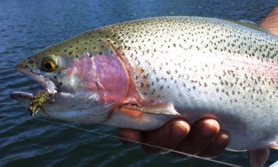 Early Spring FlyFishing Strategies