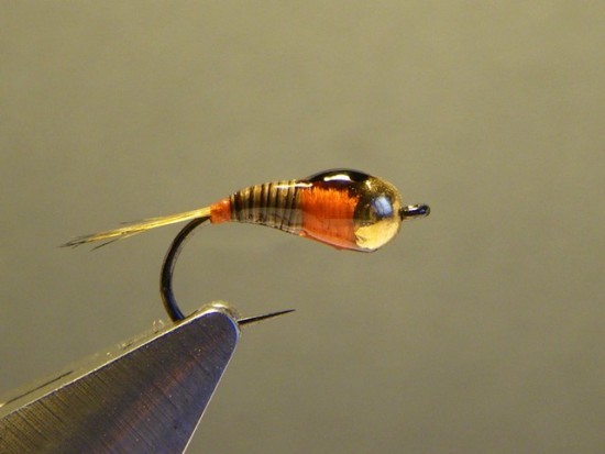 Perdigon Nymph Jig Fly Pattern