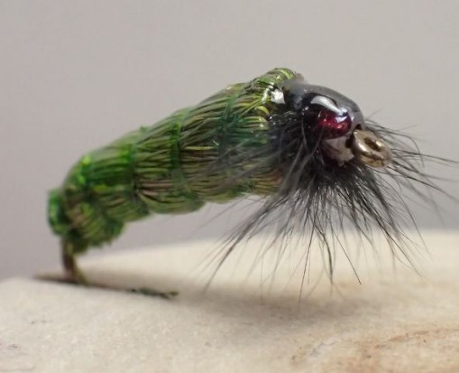 Green Grass Cased Caddis fly Pattern