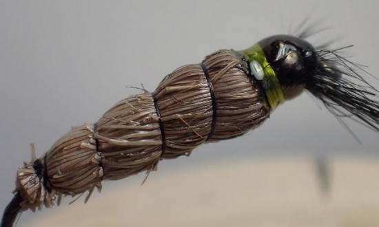 Natural Cased Caddis Fly Pattern