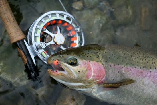 Hill People Gear Connor Pack Fly Fishing Rainbow Trout