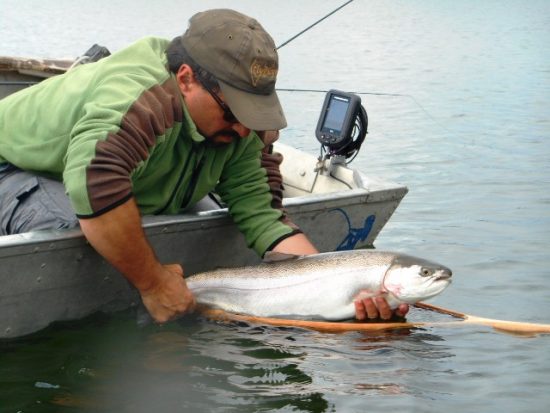 May Chironomids 2016 - Fly Fishing Beautiful British Columbia 