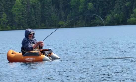 May Chironomids - Fly Fishing Kamloops British Columbia 