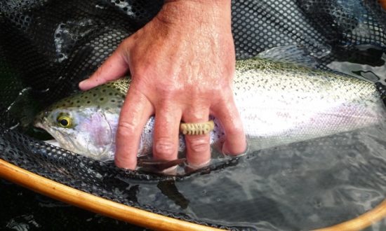 May Chironomids 2016 - Fly Fishing Beautiful British Columbia 