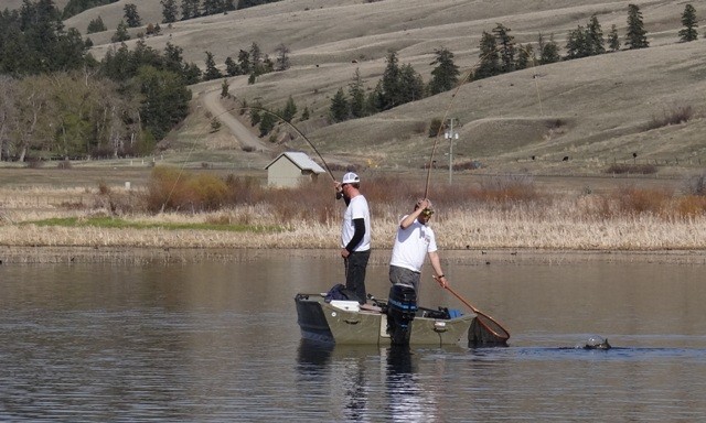 Finding Fish  Stillwater Chironomid Fly Fishing Strategies