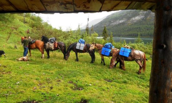Palace in the Sky - BC Alpine Fly Fishing Report 2016 - Guide Horses