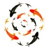 Atsu