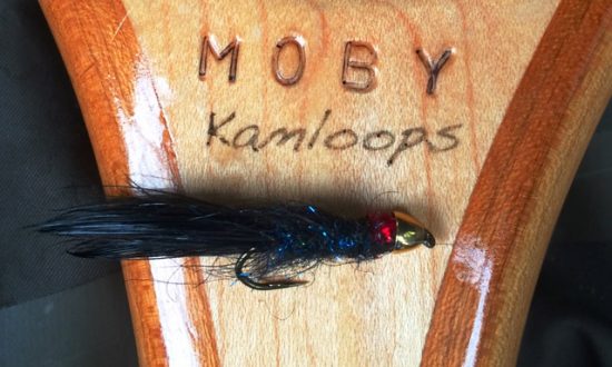 Fall Fishing Report - MOBYnet Leech