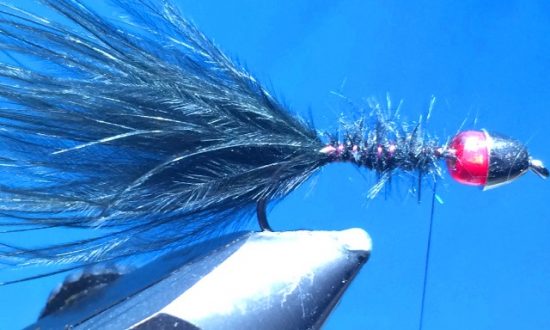 Superintendent Sam Steele Blue Leech Fly Pattern