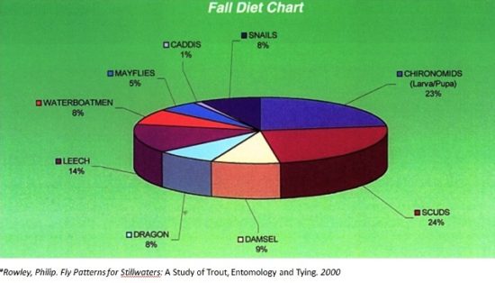 Fly Fishing Diet Chart - Fall fly patterns