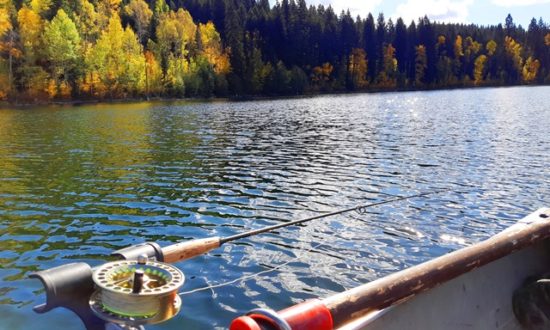 flyguys Favourite Fall Fly Fishing Patterns | fall fly patterns