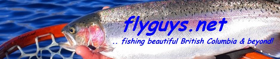 flyguys.net | fly fishing British Columbia & beyond!